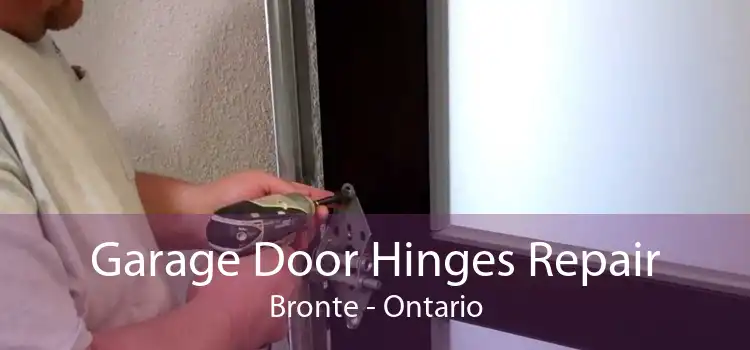 Garage Door Hinges Repair Bronte - Ontario