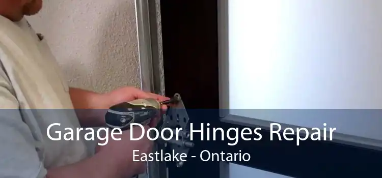 Garage Door Hinges Repair Eastlake - Ontario