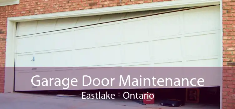 Garage Door Maintenance Eastlake - Ontario