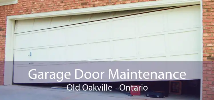 Garage Door Maintenance Old Oakville - Ontario