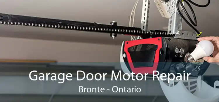 Garage Door Motor Repair Bronte - Ontario