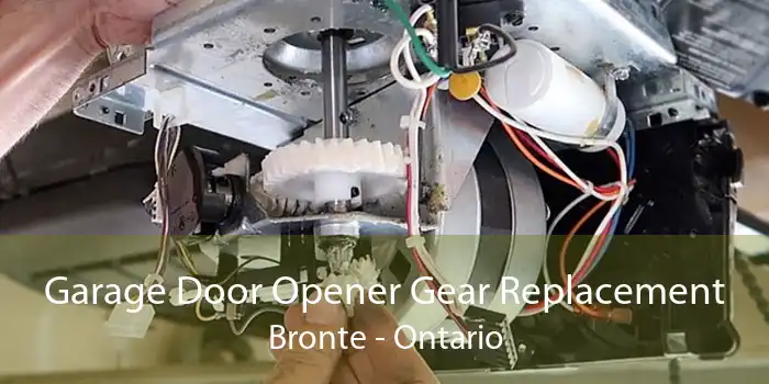 Garage Door Opener Gear Replacement Bronte - Ontario
