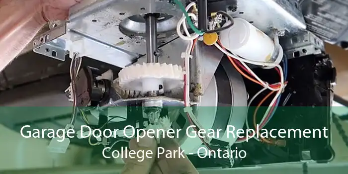 Garage Door Opener Gear Replacement College Park - Ontario