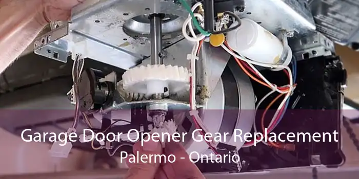 Garage Door Opener Gear Replacement Palermo - Ontario