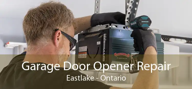 Garage Door Opener Repair Eastlake - Ontario
