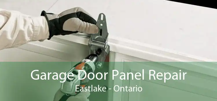 Garage Door Panel Repair Eastlake - Ontario