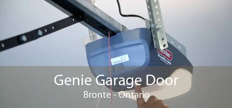 Genie Garage Door Bronte - Ontario