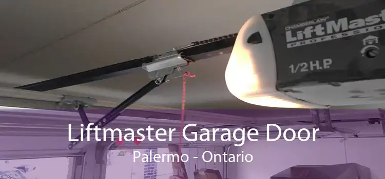 Liftmaster Garage Door Palermo - Ontario
